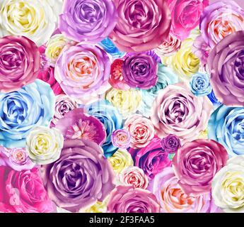 Sfondo di rose colorate. Bello, buono per vacanze e regalo. Fiori modello. Foto Stock