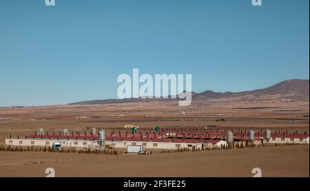 Case di bestiame e paesaggio agricolo in Andalusia Spagna industria alimentare In Europa Foto Stock