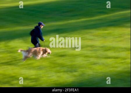 Ragazzo adolescente in esecuzione con il suo Golden Retriever cane nel verde dei campi erbosi di un parco. Foto Stock