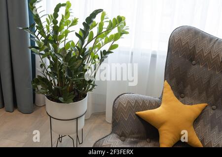 Interni moderni in colori neutri e dettagli. Poltrona geometrica con cuscino a forma di stella, zona di riposo, pianta in vaso. Camera per bambini per adolescenti. Co Foto Stock