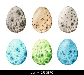 Set di acquerelli con uova di quaglia naturali e colorate isolate sfondo bianco Foto Stock