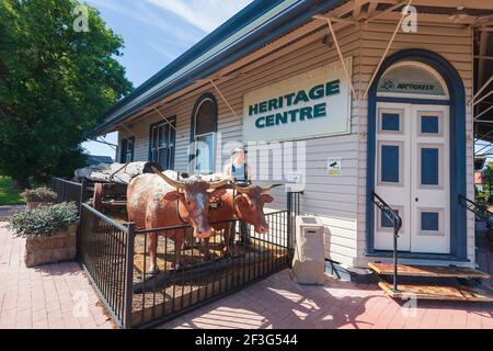 Heritage Center con i torelli che guidano i tronchi d'albero su un carro, Killarney, Queensland, QLD, Australia Foto Stock