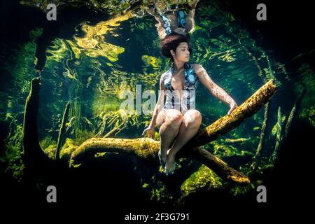 Bel modello seduto su log subacqueo in Cenote Jardin del Eden, Penisola di Yucatan, Messico Foto Stock