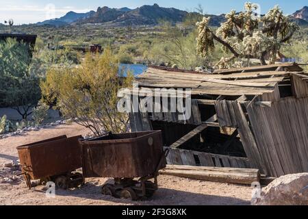 Vecchie auto e un capannone dilapidato nella vecchia città fantasma mineraria di Goldfield, Arizona con un grande cactus di salto cholla dietro. Foto Stock