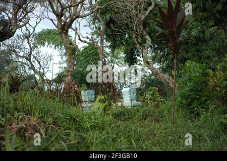 Lapidi in tombe tradizionali indonesiane. Una tomba tra l'erba e le erbacce. atmosfera spooky in Java rurale isola Foto Stock