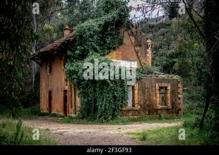 Vecchia stazione ferroviaria storica situata nella regione di campagna chiamata Chouit nel bel Libano Foto Stock