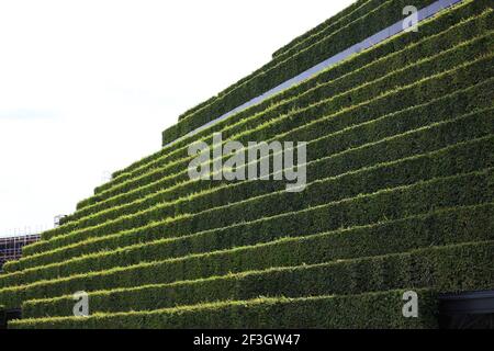 Größte Grünfassade Europas mit acht Kilometern Hainbuchenhecken auf Kö-Bogen II in Düsseldorf, Gustaf-Gründgens-Platz, Architect Architekt ingenhoven Foto Stock