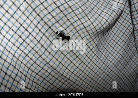 Una vecchia camicia molto amata è giunta alla fine della sua vita utile che si indossa e ci sono buchi nel materiale del retro della camicia. Foto Stock