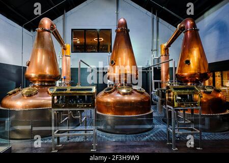 Repubblica d'Irlanda; Dublino, la distilleria Dublin Liberties, whiskey Foto Stock