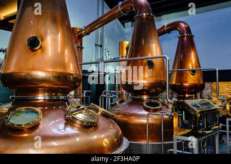 Repubblica d'Irlanda; Dublino, la distilleria Dublin Liberties, whiskey Foto Stock