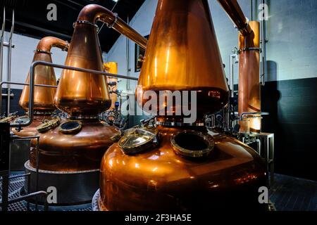 Repubblica d'Irlanda; Dublino, la distilleria Dublin Liberties, whiskey Foto Stock