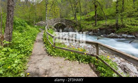 Sentiero escursionistico e ruscello di montagna in estate. Torrente e ponte nel Parco Nazionale degli Ecrins. Oulles du Diable, Valgaudemar, Hautes-Alpes, Alpi, Francia Foto Stock