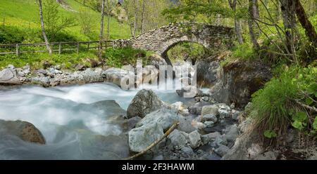 Torrente di montagna in estate. Torrente e ponte nel Parco Nazionale degli Ecrins. Oulles du Diable, Valgaudemar, Hautes Alpes, Alpi francesi, Francia Foto Stock
