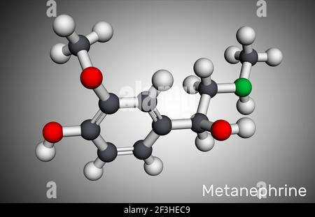 Molecola di metanefrina. È metabolita di epinefrina, adrenalina, biomarcatore per feocromocitoma. Modello molecolare. Rendering 3D. Illustrazione 3D Foto Stock