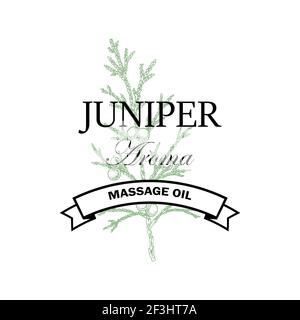 Logo dell'olio da massaggio Juniper con elemento disegnato a mano isolato su sfondo bianco. Illustrazione vettoriale in stile vintage Illustrazione Vettoriale