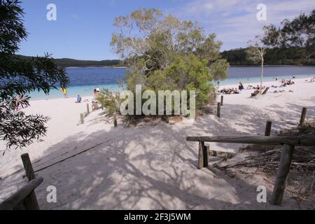 Lago Mckenzie (Boorangoora) sull'isola di Fraser in Queensland, Australia Foto Stock