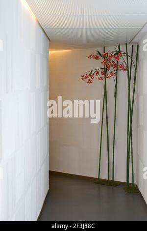 V Serviced Apartments, Causeway Bay, Hong Kong (designer: Anderson Lee) Foto Stock