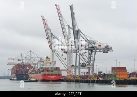 Southampton, Regno Unito, 04 Mar 2021. I cieli sovrastanti offrono uno sfondo cupo a parte del cantiere navale di Southampton, dove due navi da carico caricate con contenitori di trasporto in metallo sono ormeggiata accanto a gru da cantiere gigantesche. Le banchine di Southampton hanno recentemente ottenuto lo status di porto libero. Foto Stock