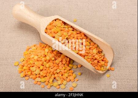 lenticchie rosse e arancioni. lenticchie rosse e gialle in una paletta di legno. prodotto organico sano privo di glutine. spazio copia Foto Stock