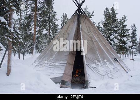 Sami (Laplander) tenda, renne Safari, Jukkasjarvi, Svezia Foto Stock