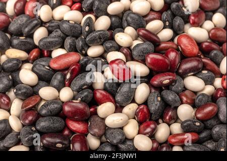 Mix multicolore sfondo Beans. Fagioli di palo in tre colori: Bianco, rosso, nero. Cucchiaio di legno con fagioli di tre colori Foto Stock