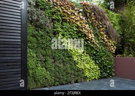 Patio giardino al piano seminterrato presso la Morgan House a Notting Hill, Londra, Regno Unito, progettato da Modular Gardens in collaborazione con Crawford & Gray archi Foto Stock