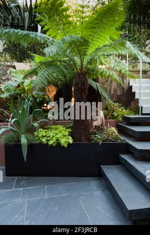 Patio giardino al piano seminterrato presso la Morgan House a Notting Hill, Londra, Regno Unito, progettato da Modular Gardens in collaborazione con Crawford & Gray archi Foto Stock