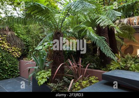 Patio giardino al piano seminterrato presso la Morgan House a Notting Hill, Londra, Regno Unito, progettato da Modular Gardens in collaborazione con Crawford & Gray archi Foto Stock