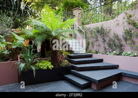 Patio giardino al piano seminterrato presso la Morgan House a Notting Hill, Londra, Regno Unito, progettato da Modular Gardens in collaborazione con Crawford & Grey Archit Foto Stock