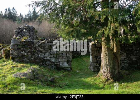 Old Stone Mountain Cottage rovina a Cavan Burren Park, Co, Cavan, Irlanda, Foto Stock