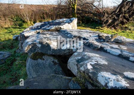 Tomba di Leap Wedge di Giant, Cavan Burren Park, Geopark, Blacklion, Irlanda, Foto Stock