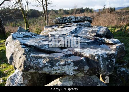 Tomba di Leap Wedge di Giant, Cavan Burren Park, Geopark, Blacklion, Irlanda, Foto Stock