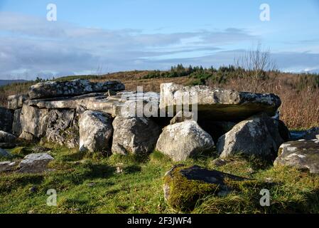 Cavan Burren Park, Geopark, Blacklion, Irlanda, Foto Stock
