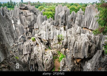 Panorama panoramico di Shilin Major Stone Forest Park in Yunnan Cina Foto Stock