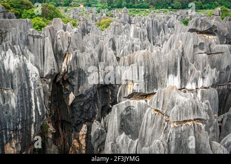 Vista panoramica completa delle principali formazioni rocciose calcaree di Shilin Nel parco forestale di pietra di Shilin in Yunnan Cina Foto Stock