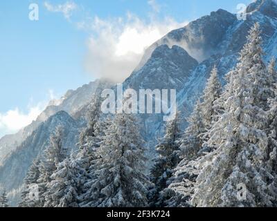 Un paesaggio invernale dai monti Bucegi, Romania Foto Stock