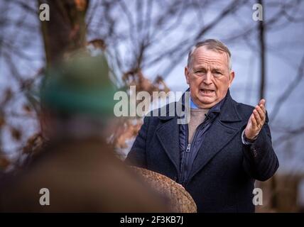 Jabel, Germania. 17 Marzo 2021. Till Backhaus (SPD), ministro dell'Agricoltura del Meclemburgo-Pomerania occidentale, parla con i cani da caccia durante l'addestramento dei cani da ricerca a un appuntamento per il secondo corso di addestramento dei cani da ricerca per combattere una minaccia di peste suina africana. Un totale di nove animali e i loro manieri sono stati addestrati per il lavoro di ricerca speciale in un secondo corso di formazione dal febbraio 2021. Credit: Jens Büttner/dpa-Zentralbild/dpa/Alamy Live News Foto Stock