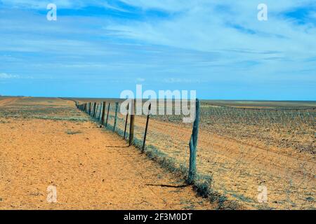 Australia, recinzione cane aka dingo recinzione, 5300 km di recinzione per proteggere il pascolo per pecore e cattles Foto Stock