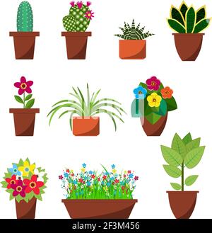 Piante e fiori per interni Illustrazione Vettoriale