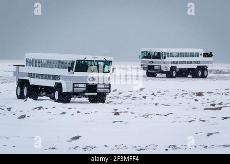 Tundra buggies a Churchill, Canada Foto Stock