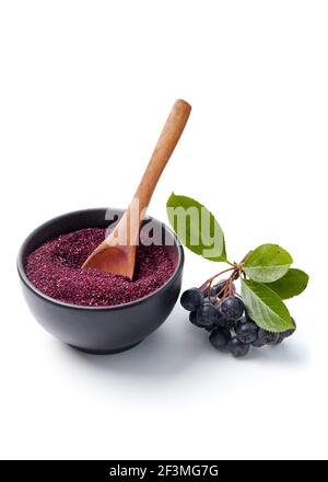 Aronia bacche e polvere su sfondo bianco Foto Stock