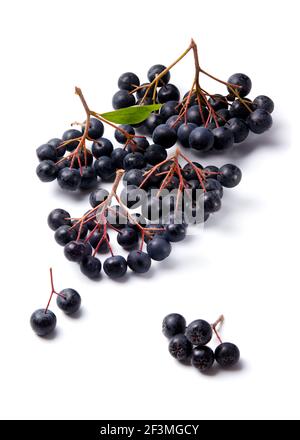 Fresche Aronia Berries su sfondo bianco Foto Stock