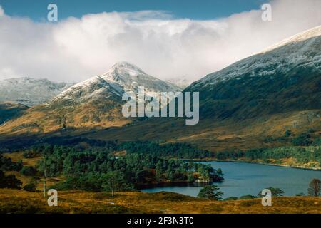 Glen Affric a fine autunno, Scozia Foto Stock