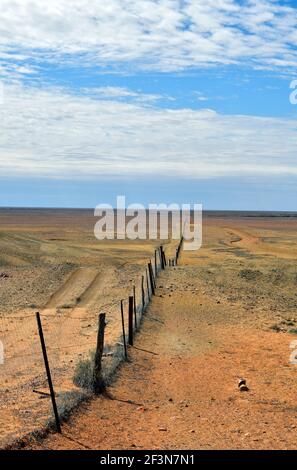 Australia, recinzione cane aka dingo recinzione, 5300 km di recinzione per proteggere pascoli per pecore e cattles, Foto Stock