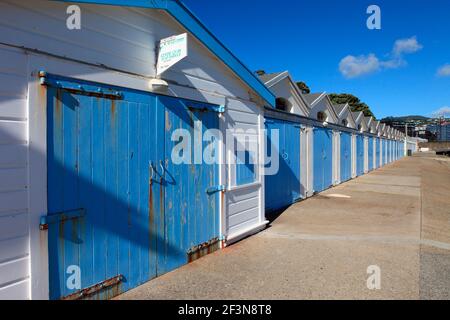 Il Clyde Quay Boat Harbour on Oriental Parade è un pittoresco porticciolo vicino al centro di Wellington. I Boatsheds sono disponibili per affittare fuori lungo il wate Foto Stock