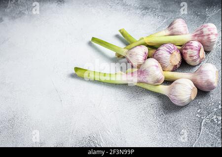 Freschi primavera giovani bulbi aglio sul tavolo da cucina. Sfondo bianco. Vista dall'alto. Spazio di copia Foto Stock