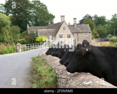 Fairford è un'attrattiva città storica del mercato nel Gloucestershire e vi è un fiorente mercato di carne e prodotti agricoli allevati in modo organico. Foto Stock