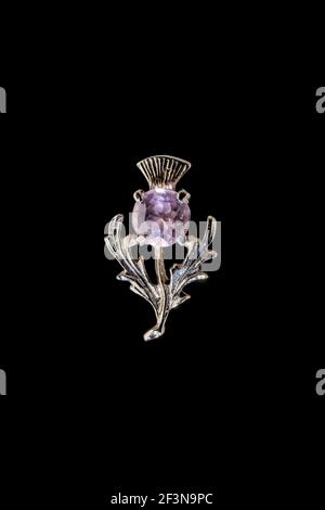 Spilla d'argento a forma di un thistle con gemma al centro Foto Stock