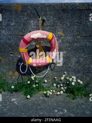 Cintura di salvataggio in decadimento sulla parete del porto. Fiori. Foto Stock