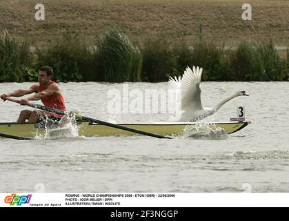 ROWING - WORLD CHAMPIONSHIPS 2006 - ETON (GBR) - 22/08/2006 PHOTO : IGOR MEIJER / DPPI ILLUSTRATION / SWAN / INSOLITE Foto Stock